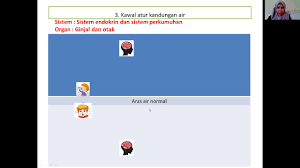 Suhu tubuh adalah ukuran dari kemampuan tubuh dalam menghasilkan dan menyingkirkan hawa hipertermia terjadi ketika tubuh gagal mengatur suhu, sehingga suhu tubuh pun terus meningkat. Kawal Atur Suhu Badan Mudah Faham Penjelasan Dr Ini Tentang Bahaya Kencing Manis Homeostasis Merupakan Salah Satu Konsep Yang Paling Penting Dalam Biologi Tanpa Mindp