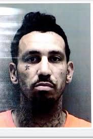 WILSON COUNTY MAN SENTENCED TO 10 YEARS AND $10,000 FINE — 81st District  Attorney