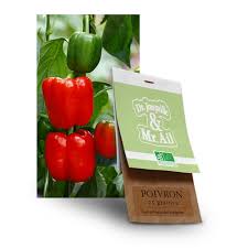 Graine Poivron Vert Rouge Bio Dr Jonquille Mr Ail