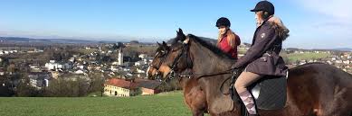 Georgen versucht, globales lernen in lokales handeln zu übersetzen. Datenschutzerklarung Reitsport Viktoria Hauser Sperlhof 1 St Georgen Gusen