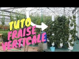 Epingle Sur Jardin Terrasse