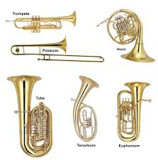 Worauf sollte man bei der auswahl achten? Instrumente