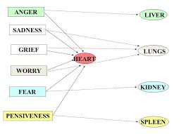 maciocia online shen and hun the psyche in chinese medicine