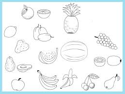 Ayo deh, ayah bunda download semua. Gambar Mewarnai Buah Lengkap Gambar Mewarnai