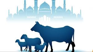 Hari raya ini dikatakan dengan idul adha karena pada hari raya ini dan tiga hari sesudahnya, atau disebut dengan hari tasyrik, kita semua diserukan untuk memotong hewan qurban yang dagingnya dibagikan kepada fakir miskin, sebagaimana firman. Khutbah Idul Adha Singkat Tentang Qurban 2020 Fokusmuria Co Id