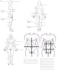 Essentials of anatomy and physiology also enable people to know how they can strengthen certain areas and aspects of their body. Body Regions And Terms To Know Biology Worksheet Anatomy And Physiology Anatomy