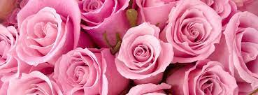 Pin By Lori Schult On Pretty In Pink Facebook Cover Facebook Cover Photos Facebook Cover Images