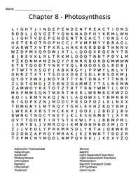 Check spelling or type a new query. Ch 8 Photosynthesis Crossword Wordsearch By Dustinlee14 Biology