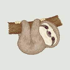 Sloth On The Tree Art Print By Toru Sanogawa X Small Sloth Art Sloth Drawing Cute Animal Drawings Kawaii