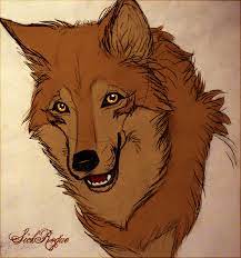 Toboe By Sickrogue On Deviantart | Wolf's Rain, Wolf Drawing, Anime Wolf