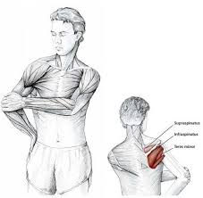 Easy Stretches To Release Tension In The Neck Shoulders Shoulder Stretching Exercises Shoulder Stretches Neck Exercises