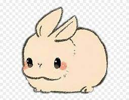 Check spelling or type a new query. Rabbit Rabit Animal Pet Kawaii Cute Kawaii Cute Drawings Of Animals Hd Png Download 568x572 3005235 Pngfind