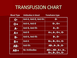 Image Result For Blood Transfusion Chart Blood Chart Diagram