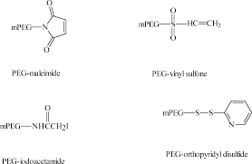 Polyethylene glycol (peg) modification, also known as pegylation, is the process of covalent attachment of peg polymer chains to another molecule, normally a drug or therapeutic protein. Http Informahealthcare Com Doi Pdf 10 1080 10717540600814402
