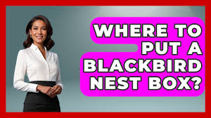 Image result for Flyte Blackbird Nest Box