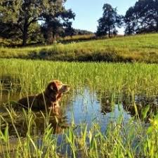 Stream Bud Burton music