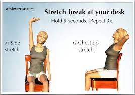 Image result for Low Back Sitting Exam