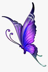Butterfly coloring page coloring page butterfly coloring page zentangle pages 41 butterfly. Butterfly Drawing Color Clip Art Butterfly Drawing With Color Hd Png Download Transparent Png Image Pngitem