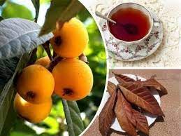 Infusion De Hojas De Nispero Sirve Para Producir Insulina Limpiar Los R Diabetic Cookbook Diabetic Menu Diabetes