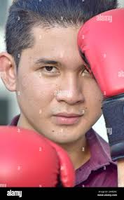 boxer,boxers,boxing) hi-res stock photography and images