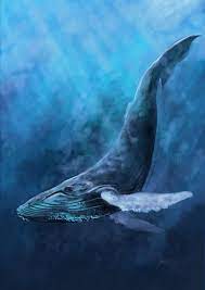 humpback whale whale painting whale art whale