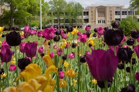 Deans List Released for Spring 2023