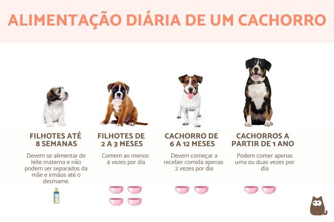 Frequência de alimentação varia conforme a fase da vida, AI generated