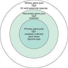 Gene Pool An Overview Sciencedirect Topics