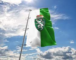 Bei bedarf kann die fahne bei 60 grad celsius gewaschen werden. Steiermark Flagge Mit Wappen Bedrucken Lassen Online Gunstig Kaufen