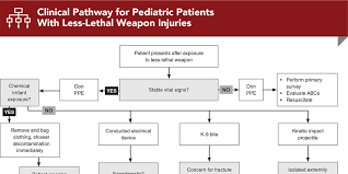 Image result for Kinetic Impact Projectile
