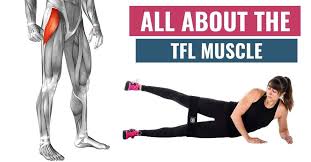 Pin On Recovery Stretches Mobility Foam Rolling