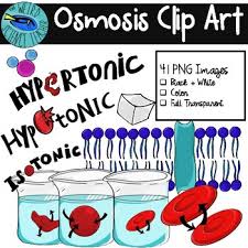 Maybe you would like to learn more about one of these? Biology Clip Art Osmosis Hypotonic Hypertonic Isotonic Tpt