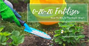 The uses of fertilizers are mentioned below: 0 20 20 Fertilizer How To Mix It Happyygarden