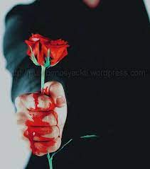 Check spelling or type a new query. Wow 24 Bunga Mawar Hitam Berdarah Gambar Bunga Indah