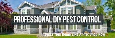 You can quickly filter today's do it yourself pest control promo codes in order to find exclusive or verified offers. 37 Diy Pest Control Coupon Wallpaper Hd