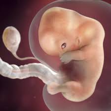 9 Weeks Pregnant Symptoms Belly Pictures More Babycenter