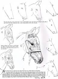 How To Draw Horses Horse Drawings Horse Drawing Animal Drawings