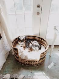Design Dua Bear Dog Bed Dog Bed Dog Toy Basket Fancy Dog Beds