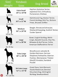 Chic Dog Bed Size Dog Bed Size Chart By Breed Bed Size Xx