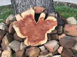 Pin On Tricia16designs