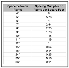 pachysandra planting spacing guide