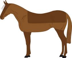 Das pferd scheren wirft einige fragen auf: Pferd Scheren 7 Arten Der Pferde Schur Horze Guides