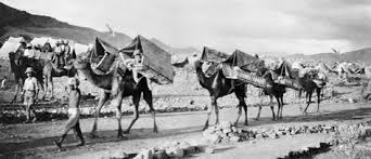 When the civil war broke out in 1861, camels carried mail between fort mojave in the new mexico territory to new san pedro in california. Camel Corps