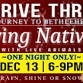 Drive-Thru Living Nativity event in Auburn, NY