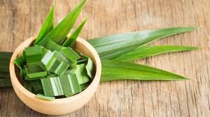 Ambil 8 daun kemangi, campur dengan cengkeh dan seduh dengan manfaat daun kemangi yang juga baik untuk kesehatan anda adalah antiinflamasi dan anti kanker. 7 Manfaat Daun Pandan Untuk Tubuh Bisa Cegah Kanker