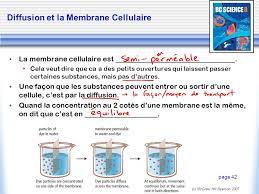 C'est pourquoi il est possible d'identifier les individus par l'étude de leur adn. 1 3 Diffusion Osmose Et La Membrane Cellulaire Ppt Video Online Telecharger