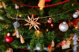 Virtual Holiday Party Ideas A Comprehensive List Wild Sf Tours