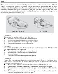 Gamsat Sample Questions Practice Package Siii This Or That Questions Prep Book Animal Species