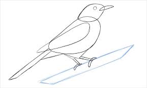 We did not find results for: Learn How To Draw A Bird Adobe