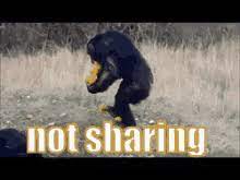 Gif sharing is caring meme. Sharing Is Caring Gifs Tenor